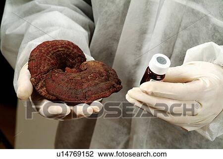 Close-Up, Glove, Holding, Human Hand View Large Photo Image Stock Image - Close-Up, Glove, Holding, Human Hand. Fotosearch