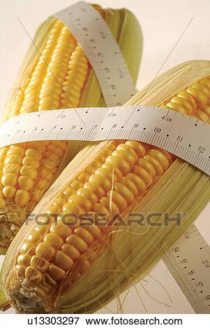 Discovery, Colored Background, Genetic Modification, Genetic Research, Bio Technology, Wrapped View Large Photo Image Stock Photo - Discovery, Colored Background, Genetic Modification, Genetic Research, Bio Technology, Wrapped. Fotosearch