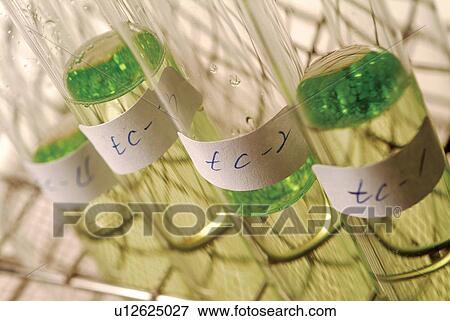 Fluid, Bio Technology, Solution, Repetition, Indoor, Liquid, Science View Large Photo Image Stock Photo - Fluid, Bio Technology, Solution, Repetition, Indoor, Liquid, Science. Fotosearch