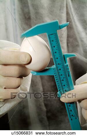 Food, Bio Technology, Part Of, Growth, Discovery, Vernier Caliper View Large Photo Image Stock Image - Food, Bio Technology, Part Of, Growth, Discovery, Vernier Caliper. Fotosearch