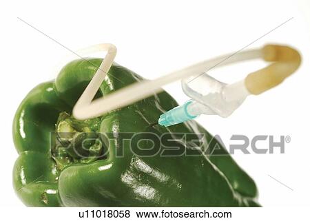 Food, Green Bell Pepper, Indoor, Injecting View Large Photo Image Stock Photo - Food, Green Bell Pepper, Indoor, Injecting. Fotosearch