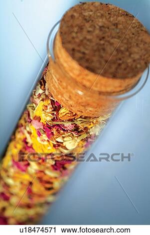 Fragility, Growth, Flower, Solution, Science View Large Photo Image Stock Image - Fragility, Growth, Flower, Solution, Science. Fotosearch