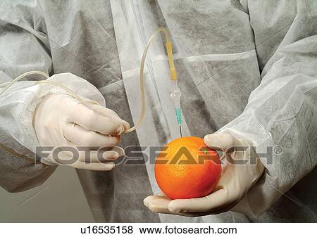 Stock Photo - Fruit, Glove, Holding, Human Hand. Fotosearch