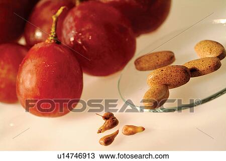 Fruit, Group Of Objects, Petri Dish, Seed View Large Photo Image Stock Image - Fruit, Group Of Objects, Petri Dish, Seed. Fotosearch
