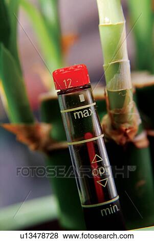 Futuristic, Focus On Foreground, Leaf, Technology, Tied, Scrutiny View Large Photo Image Stock Photo - Futuristic, Focus On Foreground, Leaf, Technology, Tied, Scrutiny. Fotosearch