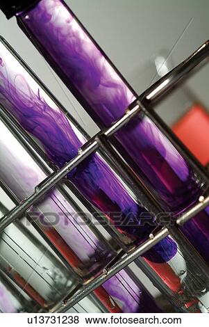 Genetic Modification, Test Tube, In A Row, Scrutiny, Purple, Bio Technology View Large Photo Image Stock Photo - Genetic Modification, Test Tube, In A Row, Scrutiny, Purple, Bio Technology. Fotosearch