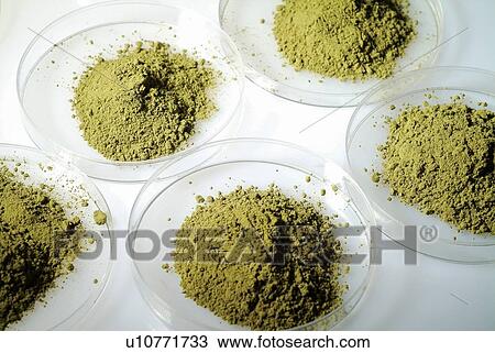 Glass, Green, Ground, Group Of Objects View Large Photo Image Stock Image - Glass, Green, Ground, Group Of Objects. Fotosearch