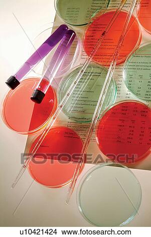 , Glass, Group Of Objects, Indoor View Large Photo Image Picture - , Glass, Group Of Objects, Indoor. Fotosearch