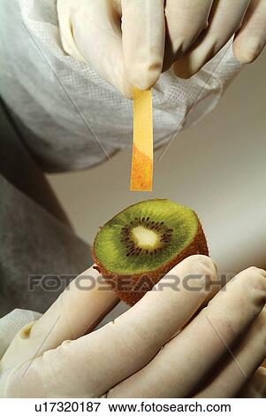 Stock Photo - Research, Fragility, Human Finger, Chemistry, Science And Technology, Futuristic, Unrecognizable Person. Fotosearch