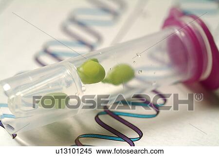 Science, Dna Structure, Container, Focus On Foreground, Bottle, Scrutiny, Genetic Research View Large Photo Image Stock Photography - Science, Dna Structure, Container, Focus On Foreground, Bottle, Scrutiny, Genetic Research. Fotosearch