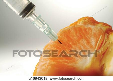 Science, Organic, Genetic Modification, Syringe, Aspirations, Solution, Research View Large Photo Image Stock Photo - Science, Organic, Genetic Modification, Syringe, Aspirations, Solution, Research. Fotosearch