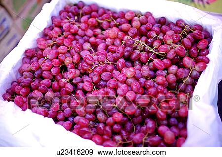 A box of fresh purple grapes, lined with tissue View Large Photo Image Stock Photo - A box of fresh purple grapes, lined with tissue. Fotosearch