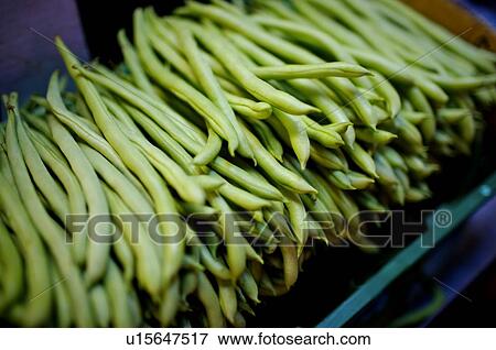 A pile of fresh green beans in a box, on display in a market stall View Large Photo Image Stock Photo - A pile of fresh green beans in a box, on display in a market stall. Fotosearch