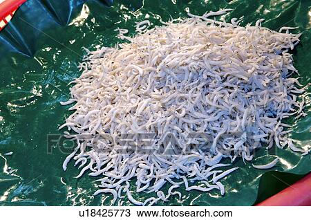 Stock Image - A pile of raw, small, white fish on a tray in a market stall. Fotosearch