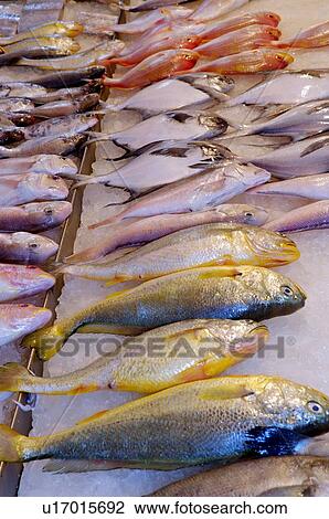 Stock Image - A variety of fresh fish on ice, on display at a market stall. Fotosearch