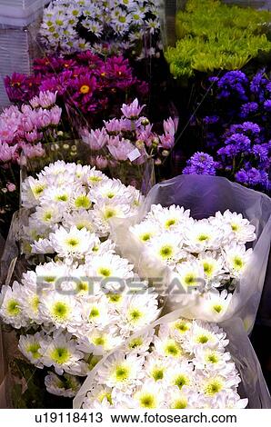 Bouquets of fresh flowers on display View Large Photo Image Stock Image - Bouquets of fresh flowers on display. Fotosearch