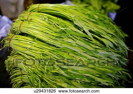 Stock Photograph - Bunches of fresh green leafy vegetables on display at a market stall. Fotosearch