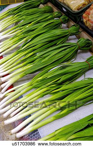 Bunches of green vegetables tied up with rubber bands, on display View Large Photo Image Stock Photograph - Bunches of green vegetables tied up with rubber bands, on display. Fotosearch