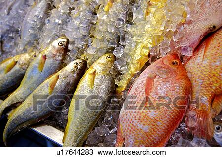 Fresh fish on ice, on display at a fish monger's stall View Large Photo Image Stock Image - Fresh fish on ice, on display at a fish monger's stall. Fotosearch