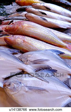 Fresh fish on ice, on display at a market stall View Large Photo Image Stock Photograph - Fresh fish on ice, on display at a market stall. Fotosearch