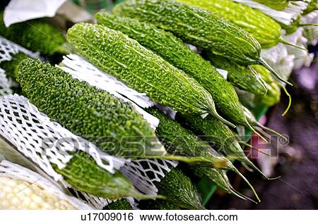 Stock Photograph - Fresh green bitter melons, some wrapped in styrofoam, on display. Fotosearch