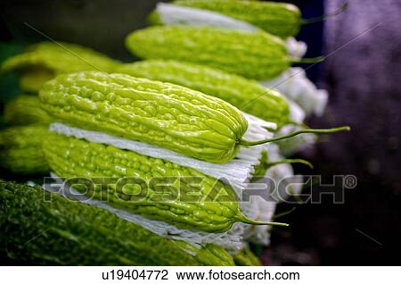 Fresh green bitter melons, with styrofoam wrapping, on display View Large Photo Image Stock Image - Fresh green bitter melons, with styrofoam wrapping, on display. Fotosearch