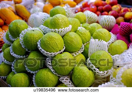 Fresh guavas wrapped in styrofoam, on display among other fruit View Large Photo Image Stock Photograph - Fresh guavas wrapped in styrofoam, on display among other fruit. Fotosearch