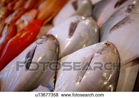 Stock Photo - Fresh raw fish in rows, on display at a market stall. Fotosearch