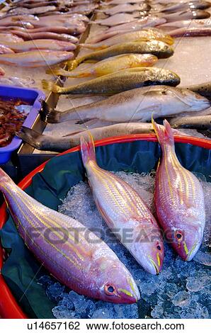 Fresh raw fish on ice, on display at a market stall View Large Photo Image Stock Image - Fresh raw fish on ice, on display at a market stall. Fotosearch