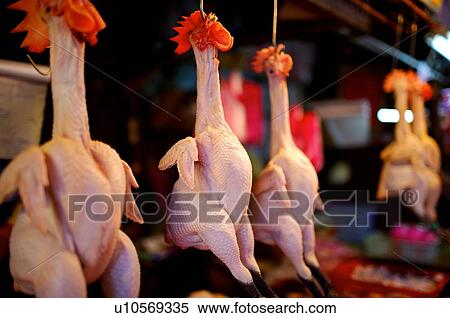 Stock Photography - Fresh whole chickens hanging from hooks, plucked, on display in a market stall. Fotosearch