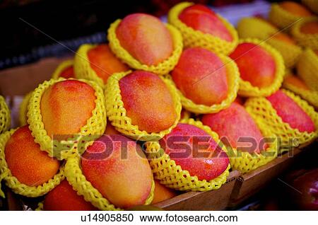 Mangoes in protective styrofoam wrapping, in boxes on display View Large Photo Image Stock Image - Mangoes in protective styrofoam wrapping, in boxes on display. Fotosearch