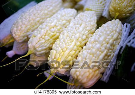 Stock Photography - Pile of white bitter melons on display, cushioned with styrofoam wrapping. Fotosearch