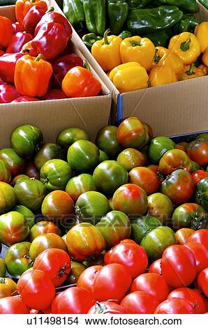 Picture - Red, yellow, and green bell peppers in boxes, next to a pile of green and ripe tomatoes. Fotosearch