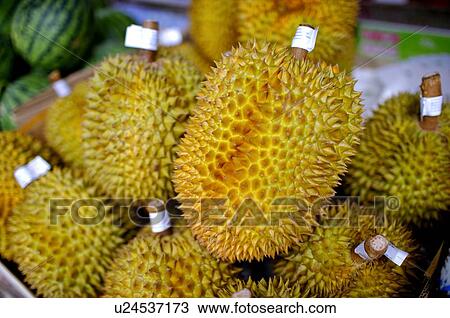 Stock Image - Ripe durian on display, with watermelon at the back. Fotosearch