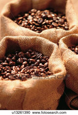 coffee beans, beans, crop, element, indoor, orderly View Large Photo Image Stock Image - coffee beans, beans, crop, element, indoor, orderly. Fotosearch