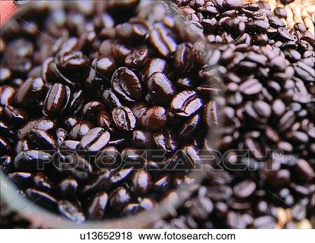Beans, Examining, Magnifying Glass, Food And Drink, Java View Large Photo Image Stock Photo - Beans, Examining, Magnifying Glass, Food And Drink, Java. Fotosearch