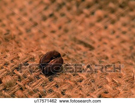 Stock Image - Close-Up, Beverage, One Object, Brown, Refreshment, Coffee. Fotosearch