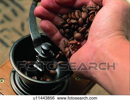 Stock Photograph - Coffee Beans, Beans, Close-Up, Brown, Beverage, Coffee Grinder, Aromatic. Fotosearch