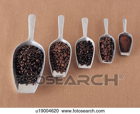 Stock Image - bean, beans, assorted. Fotosearch