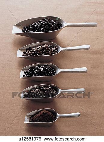 Stock Photograph - bean, beans, assorted. Fotosearch