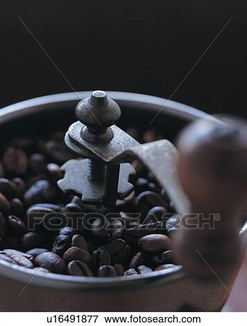 Stock Photo - bean, beans, beverage. Fotosearch