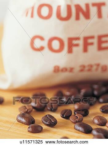 Stock Photography - beverage, ingredient, beans, coffee, component, growth, bean. Fotosearch