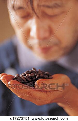 harvest, growth, one person, brown, element, male, asian ethnicity View Large Photo Image Stock Image - harvest, growth, one person, brown, element, male, asian ethnicity. Fotosearch