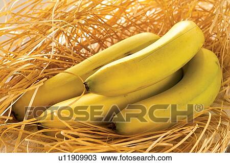 Stock Image - Banana, Bunch, Close-Up, Day, Dry. Fotosearch