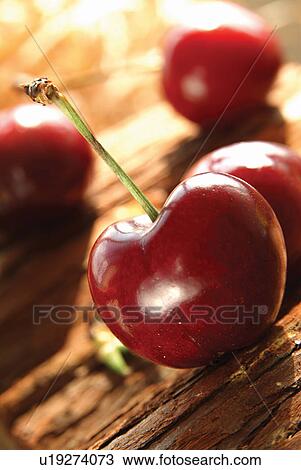 Cherry, Close-Up, Focus On Foreground, Fresh, Fruit View Large Photo Image Stock Image - Cherry, Close-Up, Focus On Foreground, Fresh, Fruit. Fotosearch