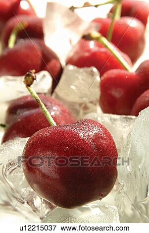 Cherry, Close-Up, Focus On Foreground, Fresh, Fruit View Large Photo Image Stock Photo - Cherry, Close-Up, Focus On Foreground, Fresh, Fruit. Fotosearch