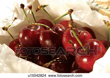 Cherry, Close-Up, Fresh, Fruit View Large Photo Image Picture - Cherry, Close-Up, Fresh, Fruit. Fotosearch
