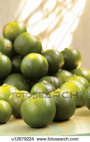 Citrus Fruit, Close-Up, Fresh, Fruit, Green View Large Photo Image Picture - Citrus Fruit, Close-Up, Fresh, Fruit, Green. Fotosearch