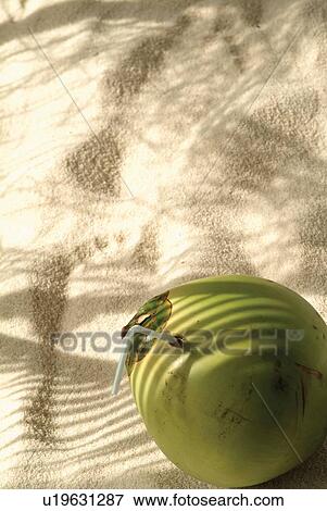 Close-Up, Coconut, Day, Drinking Straw, Fresh View Large Photo Image Stock Photo - Close-Up, Coconut, Day, Drinking Straw, Fresh. Fotosearch