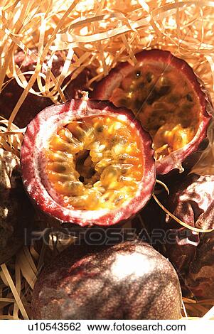 Close-Up, Cross Section, Day, Dry, Food View Large Photo Image Stock Image - Close-Up, Cross Section, Day, Dry, Food. Fotosearch